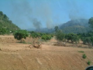 FUEGO CAMPO 02